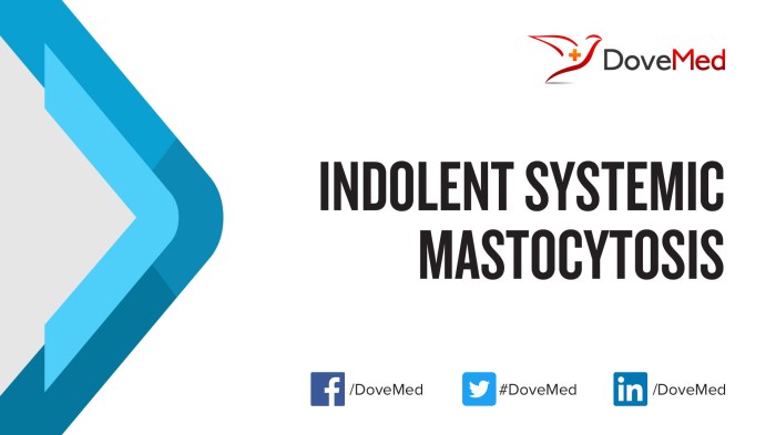 Indolent Systemic Mastocytosis Treatment A Comprehensive Guide