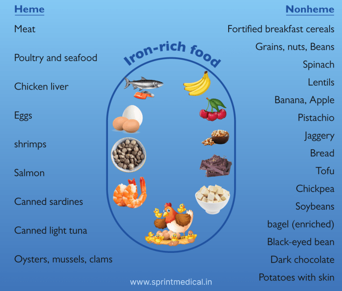Foods High in Selenium Your Bodys Essential Ally