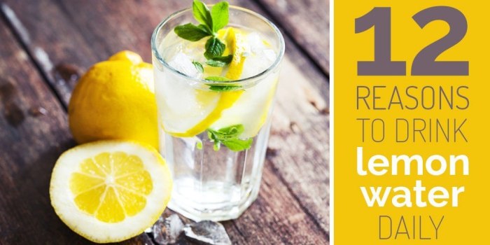 Best Time to Drink Lemon Water Your Hydration Guide