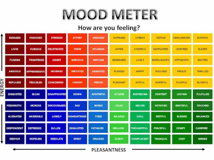 Mood congruent examples and behavior in bipolar disorder