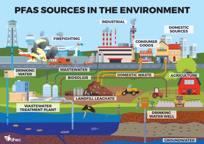 Pfas forever chemicals health risks sources how to avoid