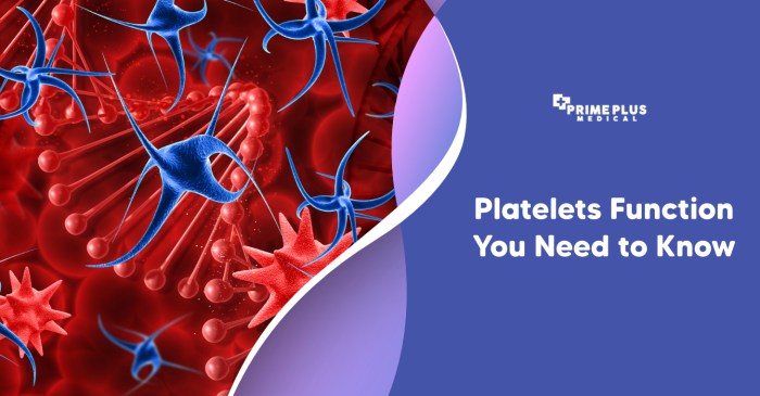 Living with low platelets what you need to know
