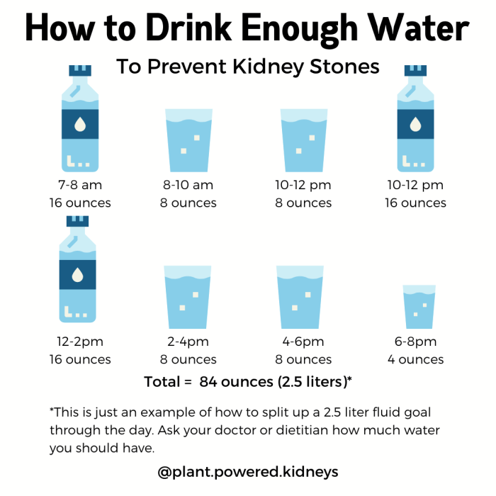 10 Tips to Prevent Kidney Stones Naturally How to prevent kidney stones