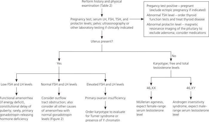 Amenorrhea - Causes, Symptoms, Diagnosis, Treatment