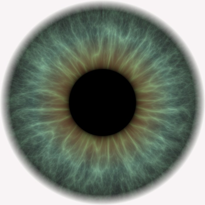 Iris of the eye