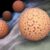 HPV and Toilet Seats A Deep Dive