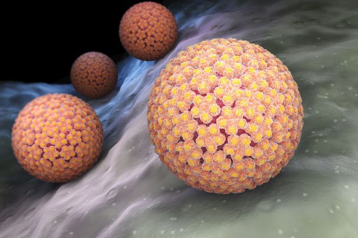 What Is HPV? | Live Science Hpv and toilet seats
