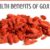 Goji Berry Health Benefits A Deep Dive