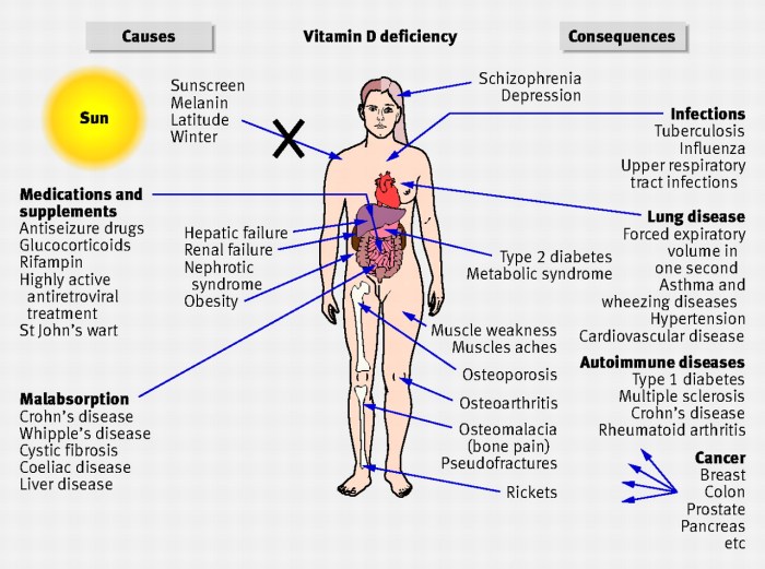 Which vitamin deficiency causes hair loss