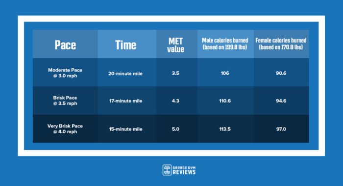 How Many Calories Does Walking Burn? Your Complete Guide
