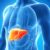 Hepatitis D Overview and More A Deep Dive