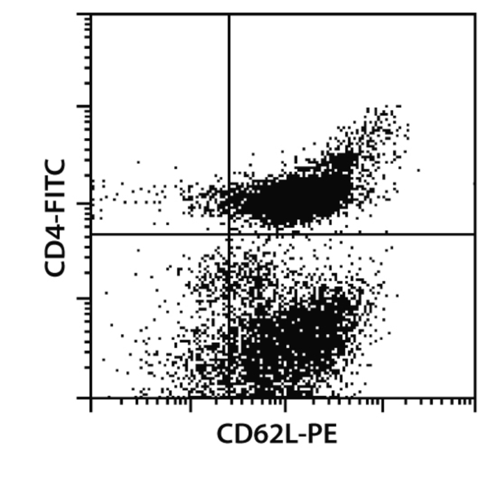 CD4+ T cells (human) | Miltenyi Biotec | USA What are cd4 t cells