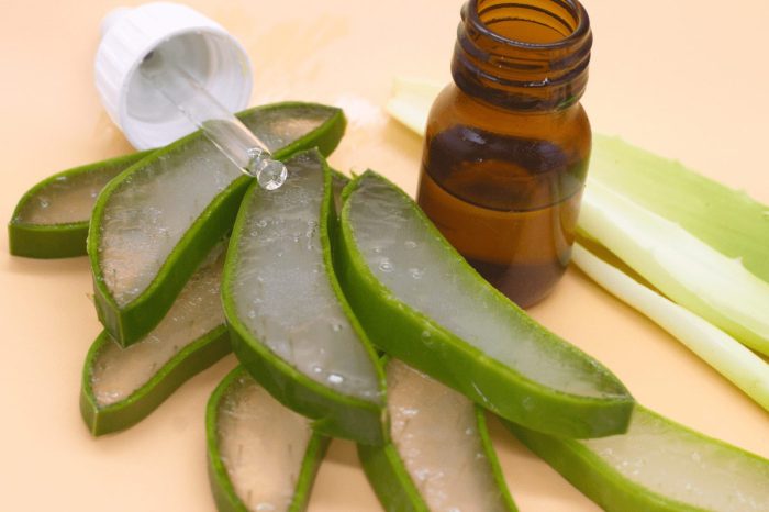 Aloe Vera for Acne and Acne Scars A Deep Dive