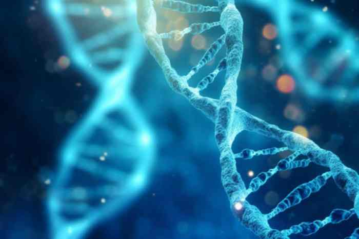 Innovative Gene Screening in Human Tissue May Unlock Autism's Secrets ... How is genetic defined