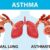 Asthma Your Immune Systems Role