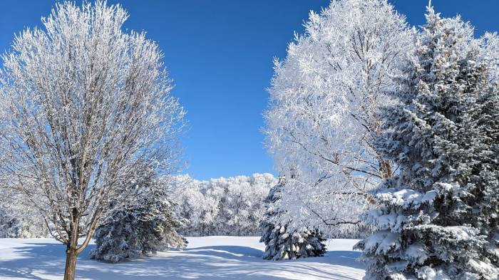 Icy Snow Free Stock Photo - Public Domain Pictures What is icy hot