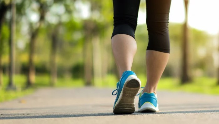 Free Weight Loss Tips - Regular Exercise Incline walking vs running