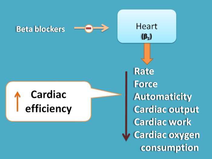 Ace inhibitors vs beta blockers