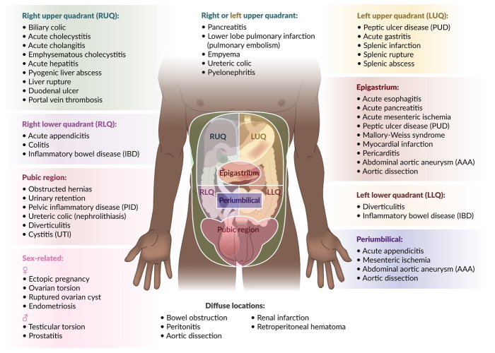 Low Abdominal Pain Left Side Lower right abdomen pain