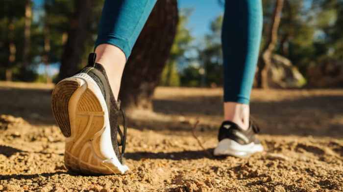 How many calories does walking burn