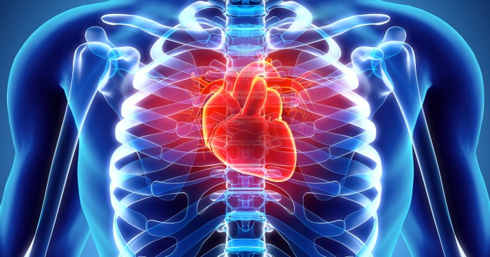 Cardiovascular system stock illustration. Image of design - 5970091 Cardiovascular exercise and diabetes