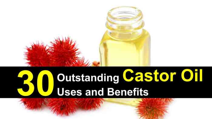 The Benefits of Castor Oil A Deep Dive