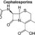 Cephalosporins and Penicillin Allergy A Deep Dive