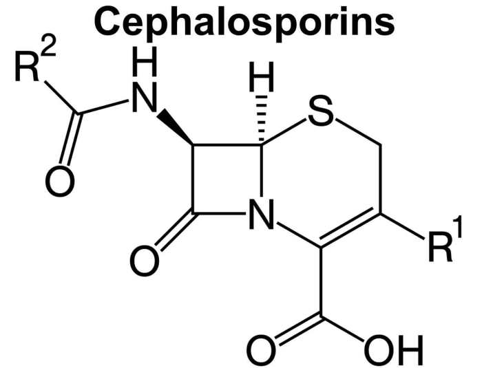 Cephalosporins and Penicillin Allergy A Deep Dive