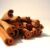 Efficacy of Cinnamon for Diabetes Treatment A Deep Dive