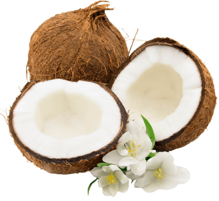 Health and nutrition benefits of coconut - HubPages Coconut oil for dandruff efficacy and how to use it