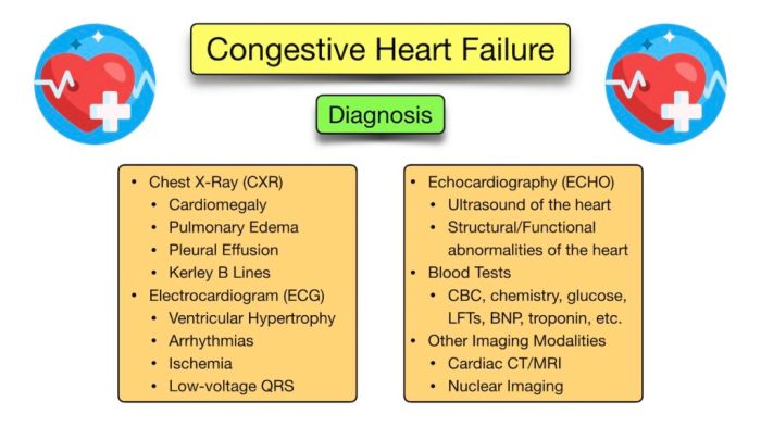 Four Stages Of Heart Failure Congestive Heart Failure - vrogue.co Congestive heart failure vs heart failure