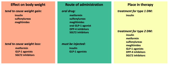 A complete guide to type 1 diabetes medications