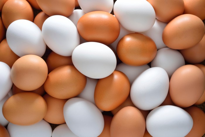 Hard-Boiled Eggs Recipe | Taste of Home Egg yolk alzheimers risk prevention