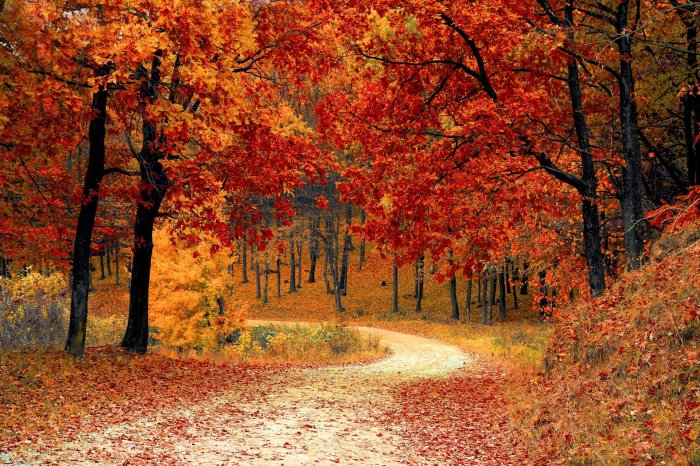 Happy First Day of Fall! Fall produce for heart health