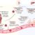 Metastatic Breast Cancer Beyond the Exam Room