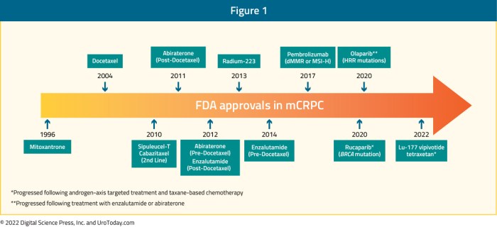 Proposed approaches to treatment of metastatic castration-resistant... | Download Scientific Diagram Treatment for metastatic castration resistant prostate cancer