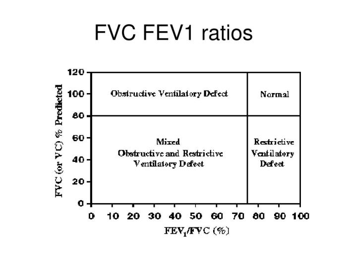 PPT - Pulmonary Function Tests PowerPoint Presentation, free download - ID:6601086 Fev1fvc ratio of fev1 to fvc spirometry