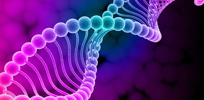 The Nature vs Nurture Debate. By: Aakash Asthana, Dr. Kong, LMC 3110 | by Aakash Asthana | Medium Genetics of eye color