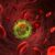 What are CD4 T Cells A Deep Dive