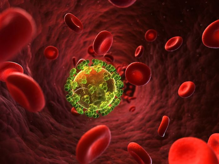 Solved Why do CD4 T cells typically get activated first | Chegg.com What are cd4 t cells