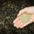 Are Seed Oils Bad for You? A Deep Dive