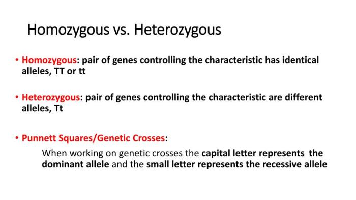 Basic Genetics Chapter ppt download Heterozygous definition traits and diseases