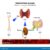Parathyroid Hormone Blood Test A Comprehensive Guide