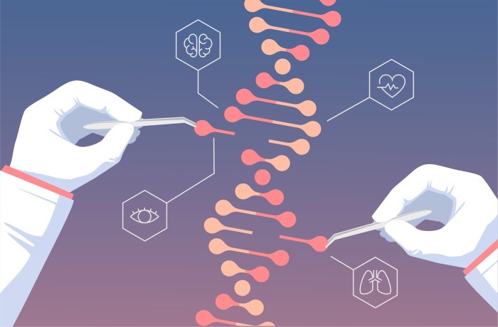 What Diseases Can Be Predicted By Genetic Testing at Veronica Scholten blog The genetic theory of aging