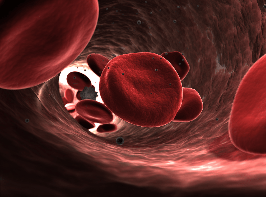Facts About Blood — Blood Assurance Quiz how much do you know about blood pressure