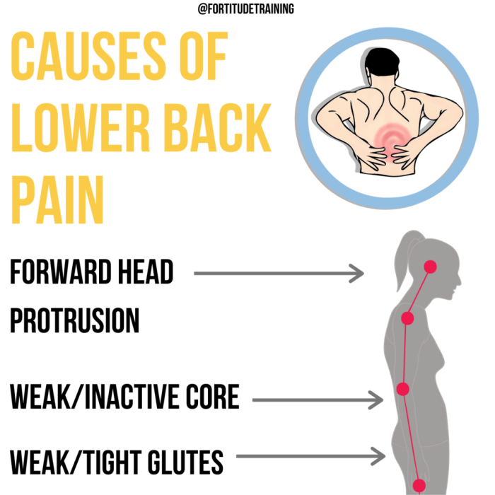 How To Eliminate Lower Back Pain - Dan North Fitness Lower back pain when walking