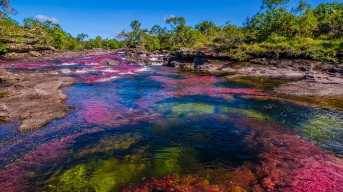 The Most Magnificent Colors In The World May Be Seen In The Colonial ... Natural remedies for adhd