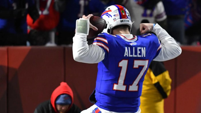 What is the allen cognitive level screen