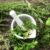 Herbs for Enlarged Prostate A Natural Approach