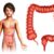 Facts About Your Colon A Deep Dive